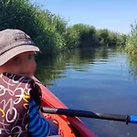 Baltycka Sea And Forest *