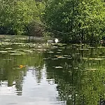 בית נופש Baltycka Sea And Forest קופלינו