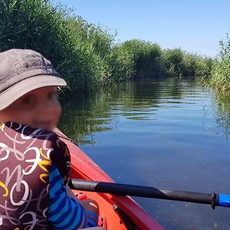 Baltycka Sea And Forest *