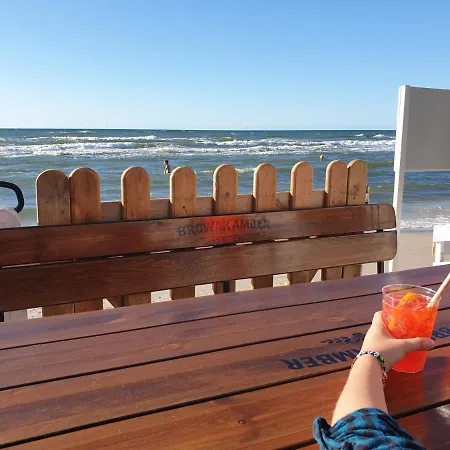 Baltycka Sea And Forest