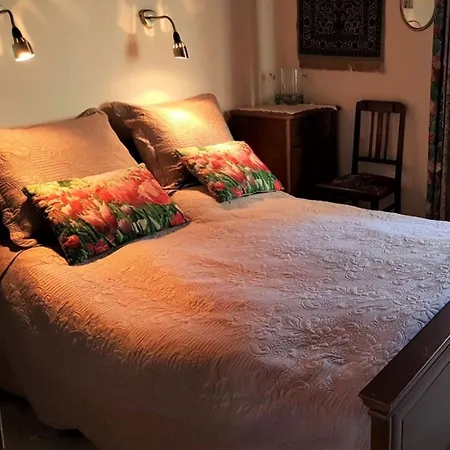 Baltycka Sea And Forest Kopalino