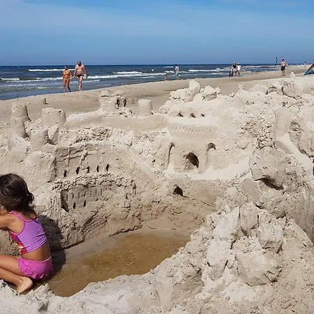 Baltycka Sea And Forest * Kopalino