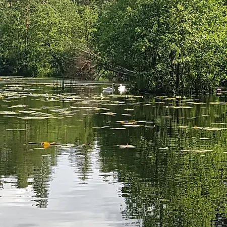 Casa vacanze Baltycka Sea And Forest Kopalino