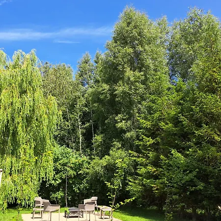 Baltycka Sea And Forest Kopalino