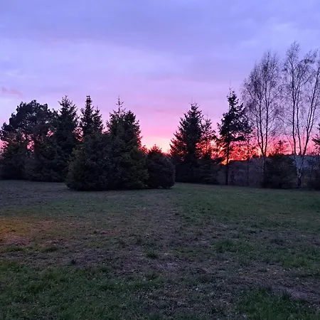 Baltycka Sea And Forest Kopalino