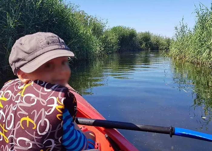 Baltycka Sea And Forest *