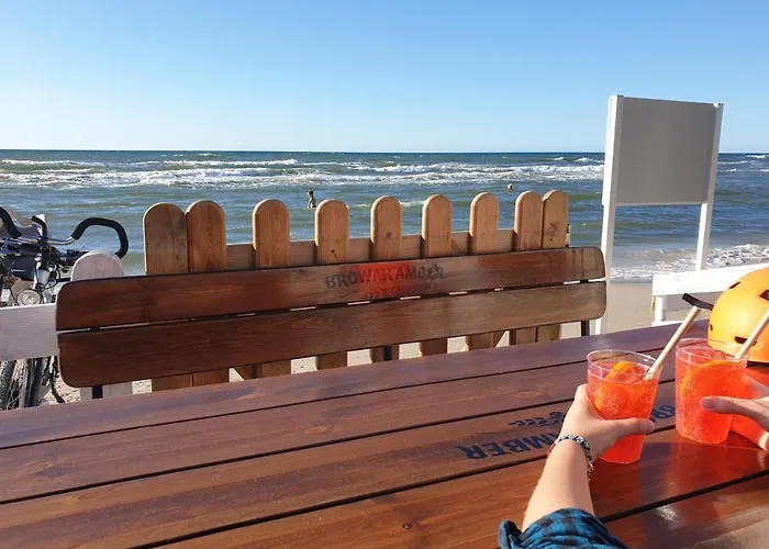 Baltycka Sea And Forest