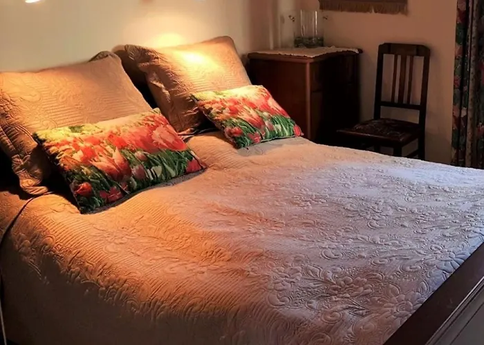 Baltycka Sea And Forest 科帕利诺