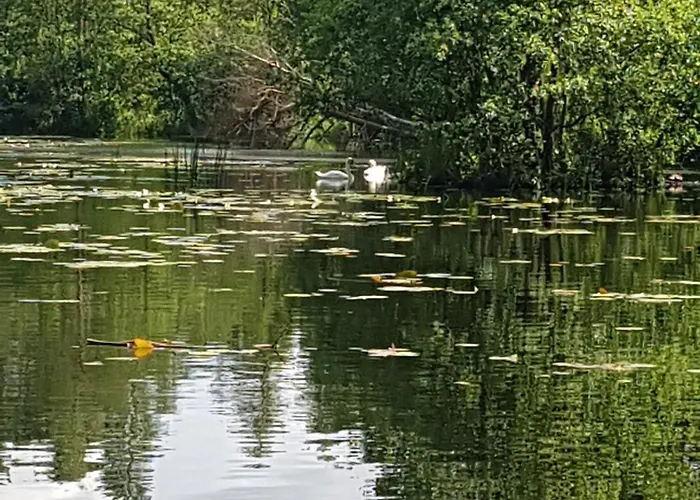 Prázdninový dům Baltycka Sea And Forest Kopalino