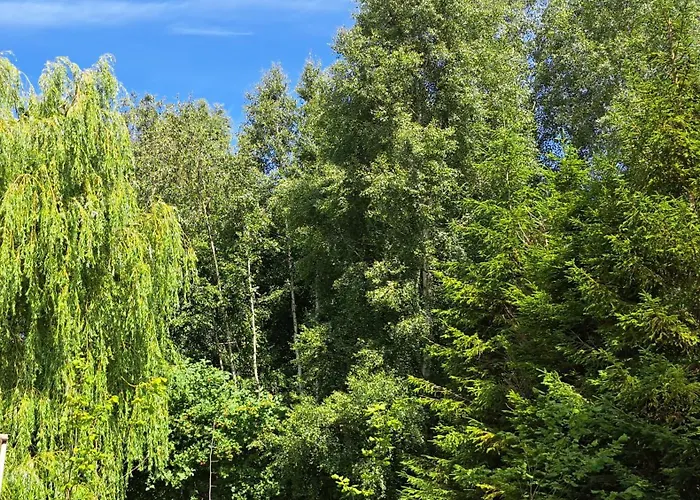 Baltycka Sea And Forest 科帕利诺